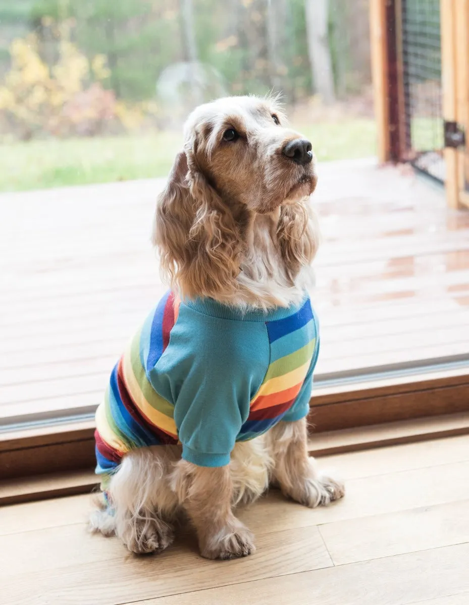 Dog Cotton Rainbow Boy Stripes Pajamas