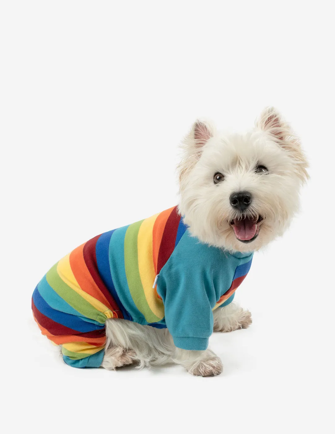 Dog Cotton Rainbow Boy Stripes Pajamas